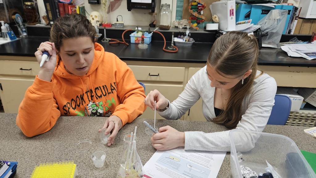 Students are using biotechnical skills to turn backteria blue. . They are iusing pipettes and working with the specimens. 