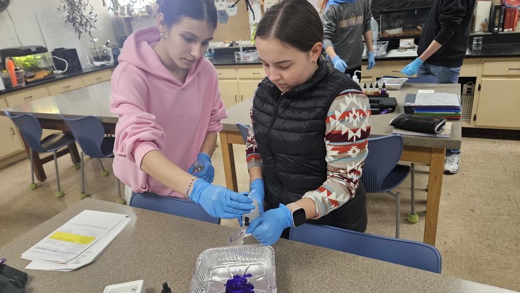 Students are holding a slide and dripping purple dye poured over it. The students are holding the slide over a metal pan. 