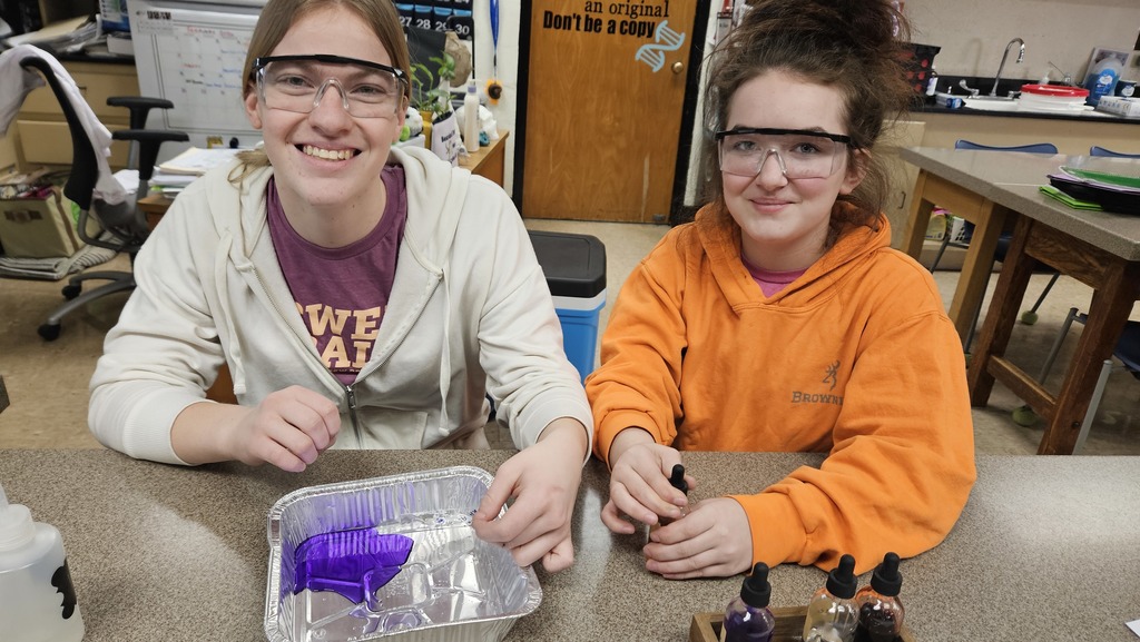 A student is holding a slide that has purple dye poured over it. The student is holding the slide over a metal pan. 