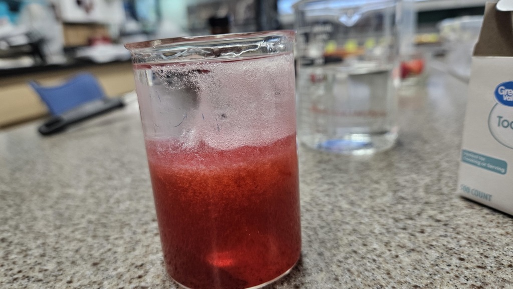 The picture shows a beaker with strawberry juice. A liquid has been added to separate the DNA. 