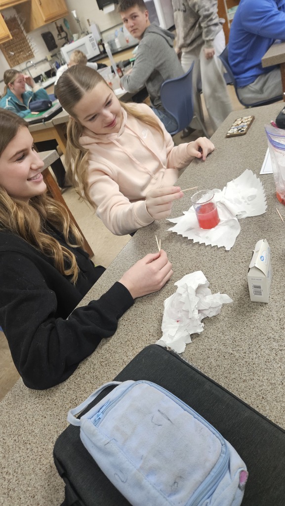 Students are using toothpicks to pull out the DNA strands of a strawberry mixture in a beaker. 