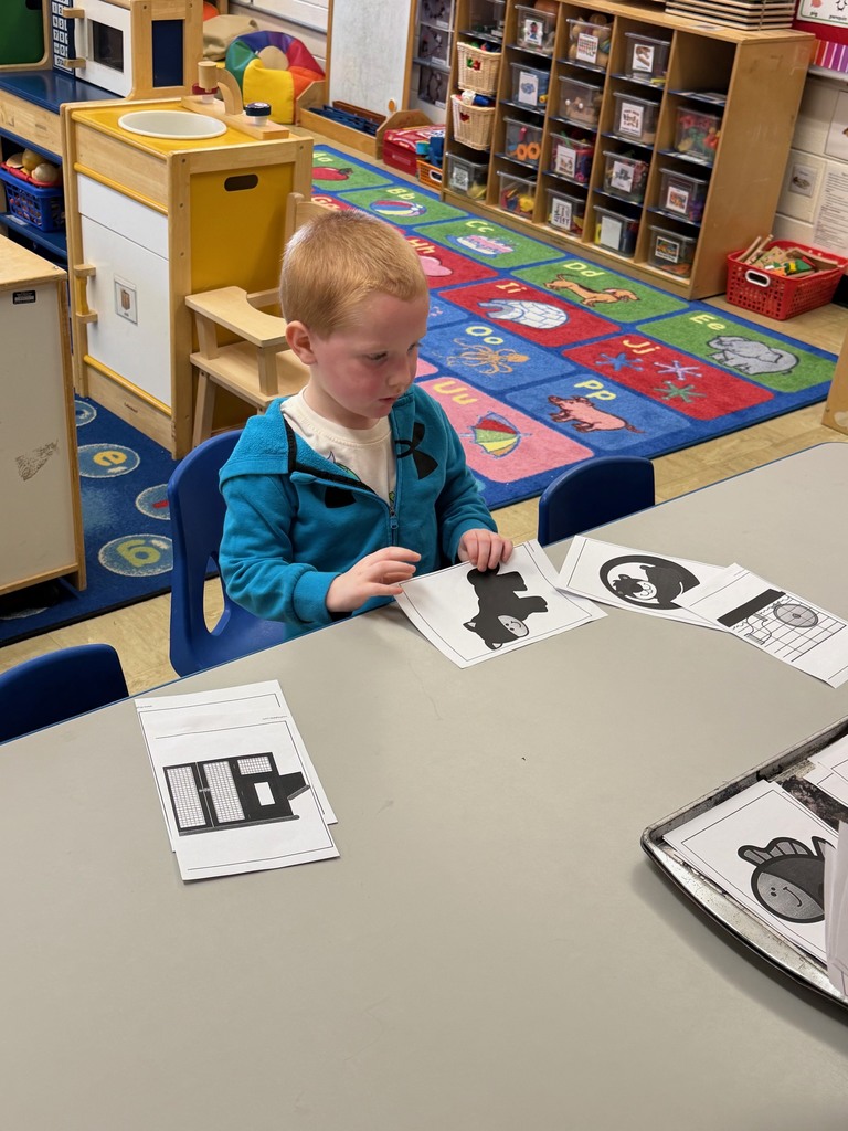 One student is sitting at the table and they are matching pet home cards to pet pictures. 