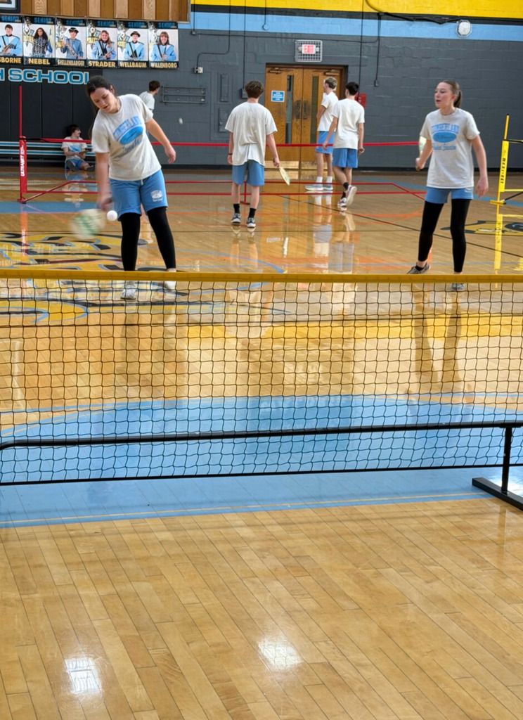 Two students are standing behind the net. One student is underhand hitting the ball back over the net. 
