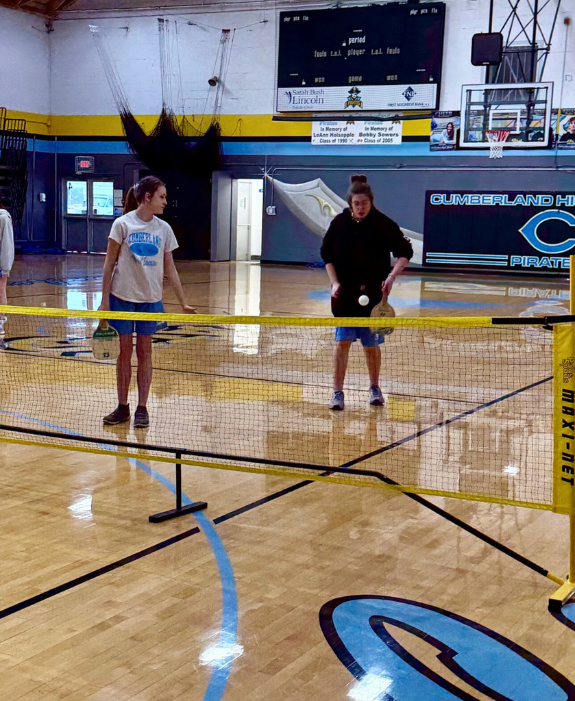 Two students are standing behind the net. One student is underhand hitting the ball back over the net. 