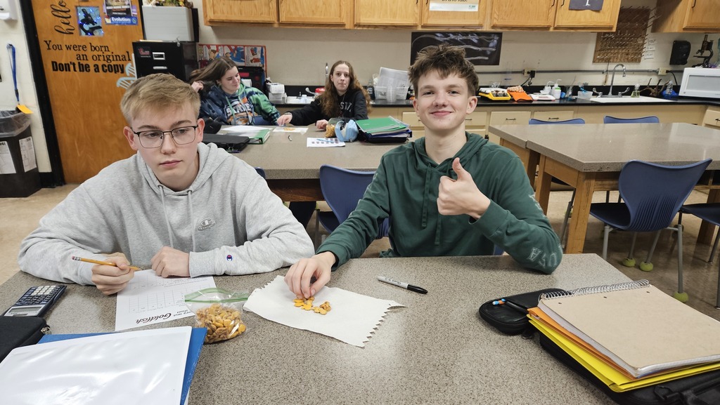 Two students are working on the activity with a bag of goldfish, and they are filling out a data sheet as the activity proceeds.