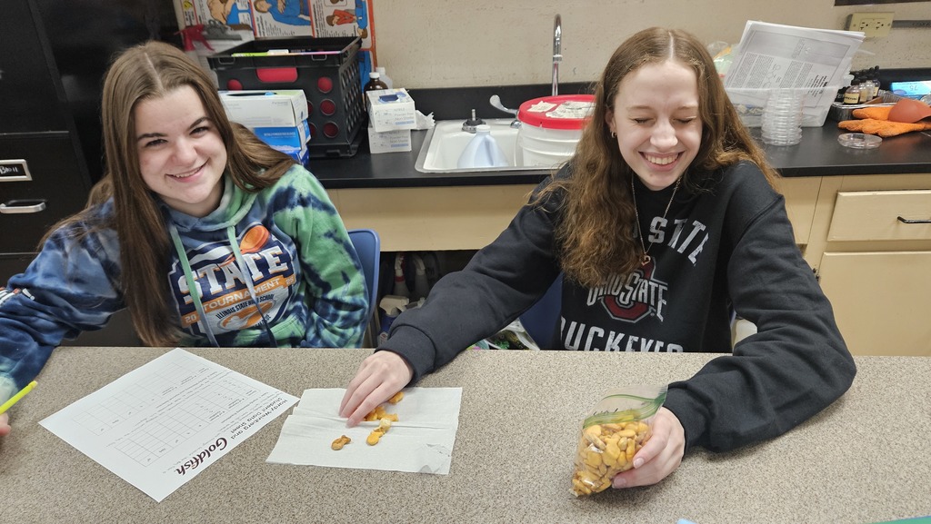 Two students are working on the activity with a bag of goldfish, and they are filling out a data sheet as the activity proceeds.