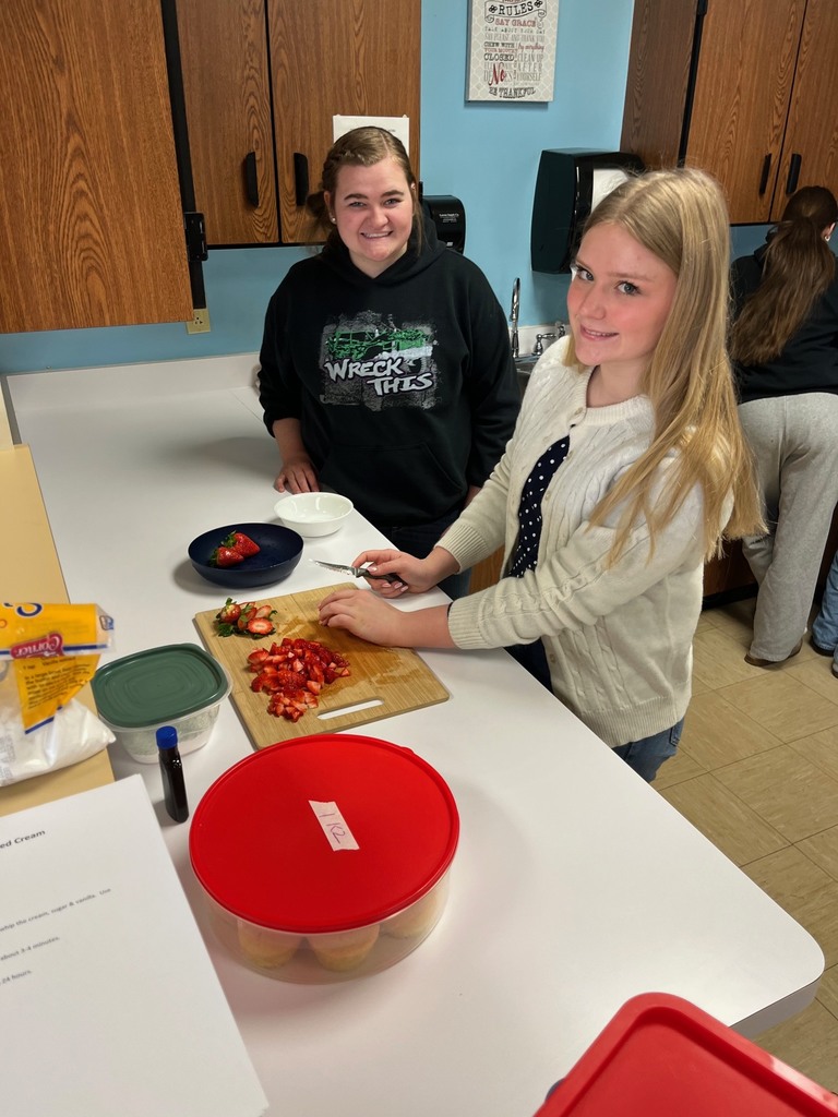 One student is slicing strawberries and another is watching on. 