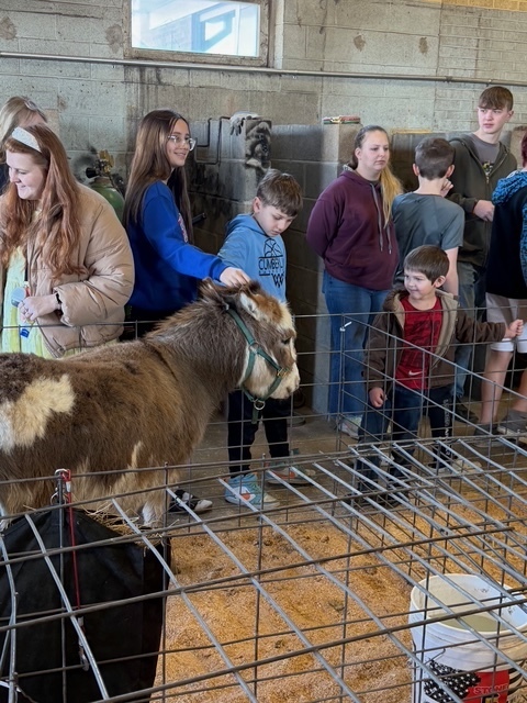 Two students are petting a mule.