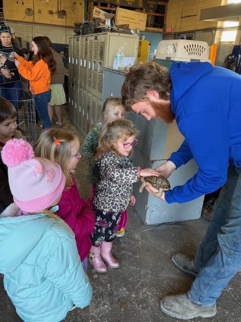 A group of students is surrounding an older student who is holding a turtle for them to pet. 