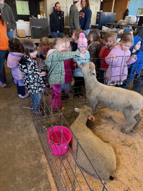 Three students are standing around a cage. One is petting a sheep. 