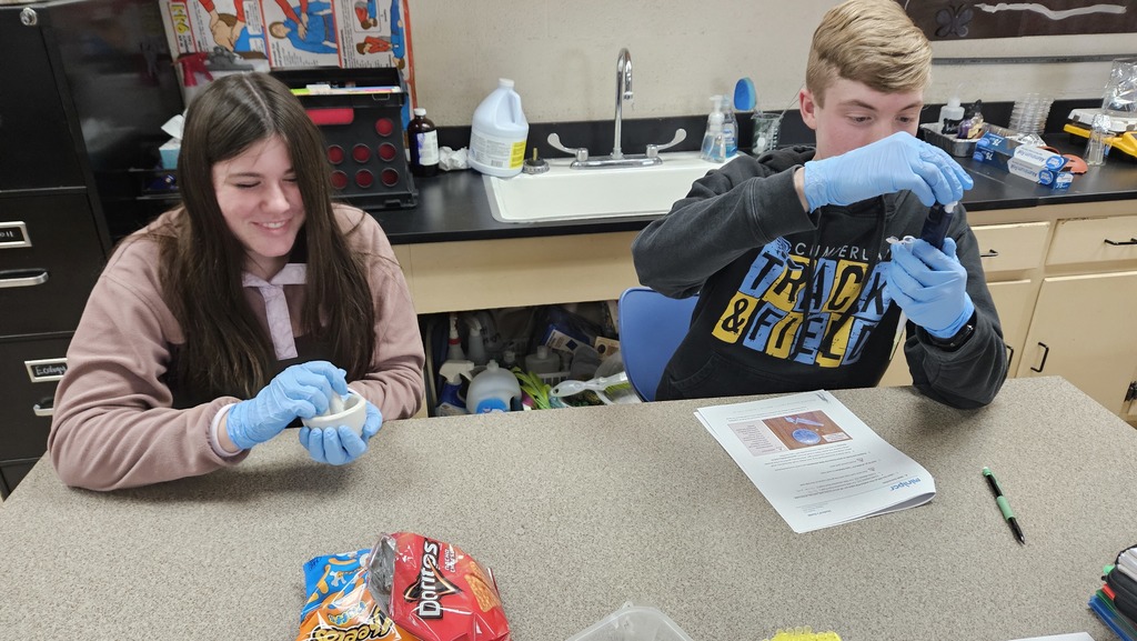One student is mashing up a chip, while another is evaluating a science tool to get a reading. 