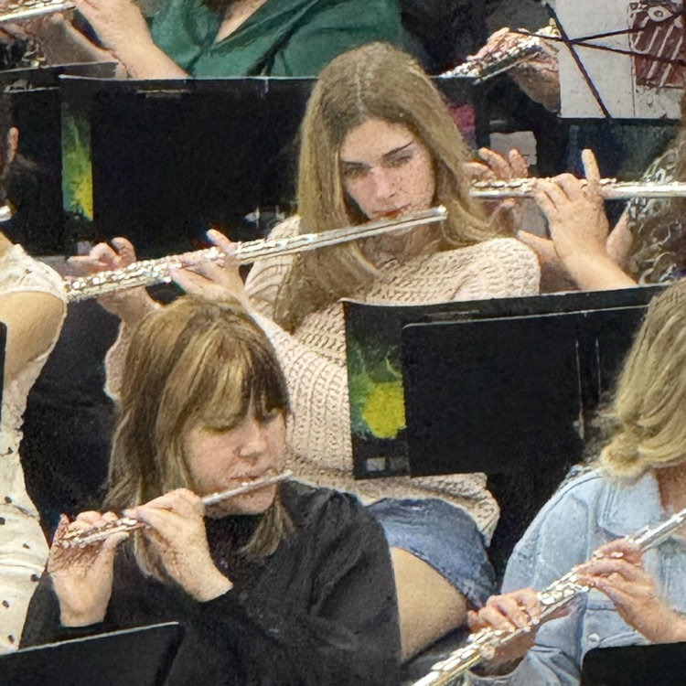 The flute section is paying a song. 