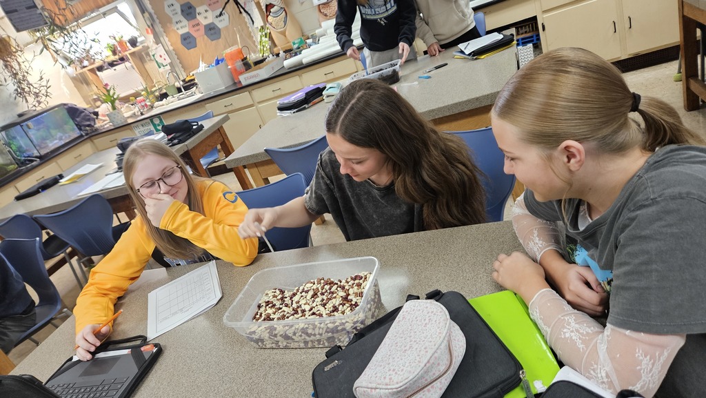 Three students are using an eye dropper to try to pick up seeds.