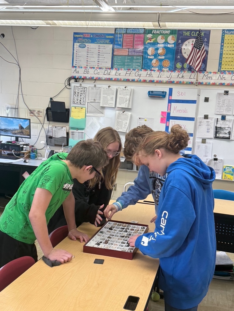 A group of four students are investigating a box of rocks and minerals. 
