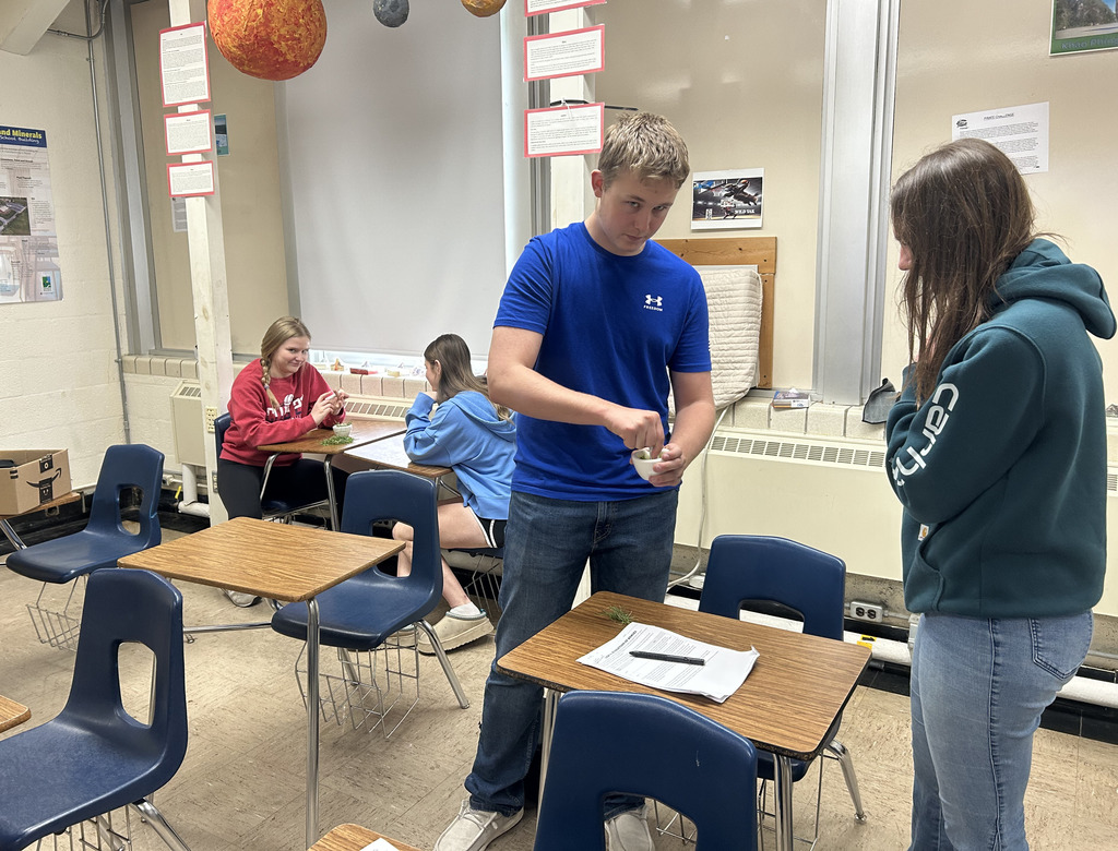 Two students are grinding green grass.