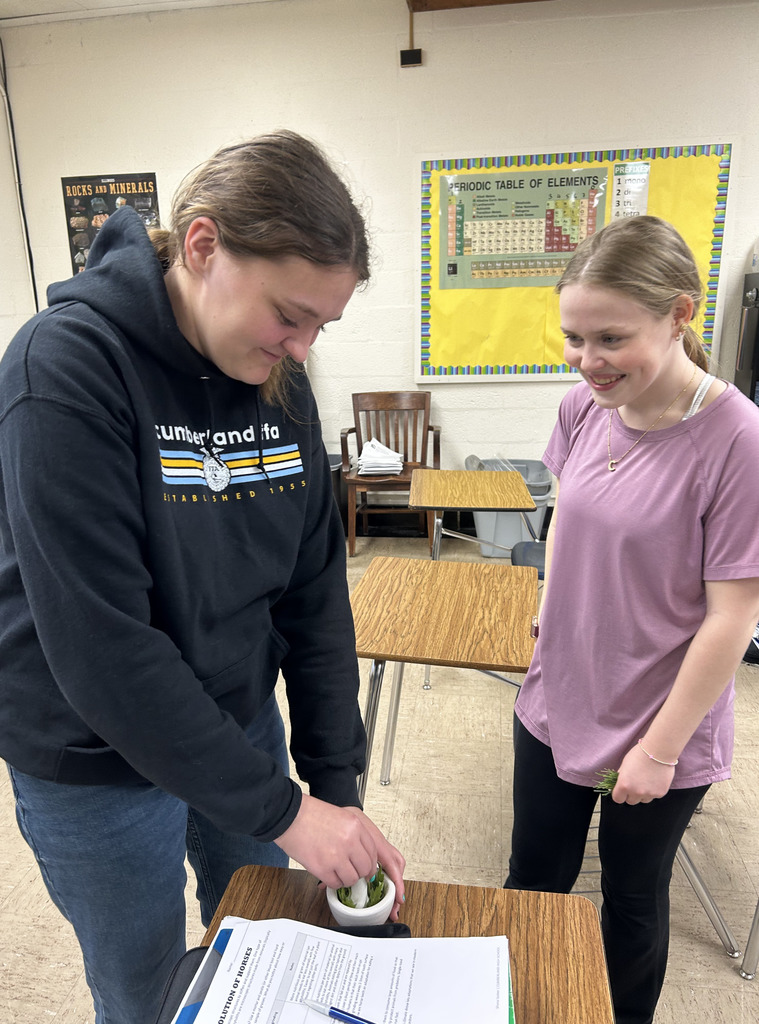 Two students are grinding green grass.