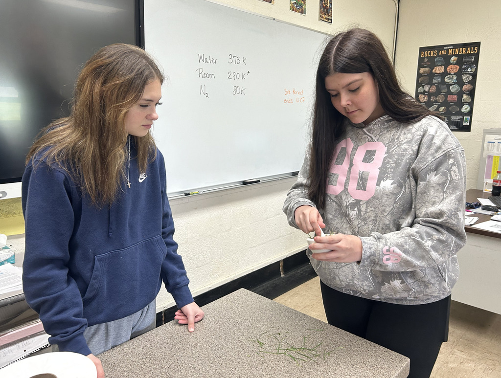 Two students are grinding green grass.