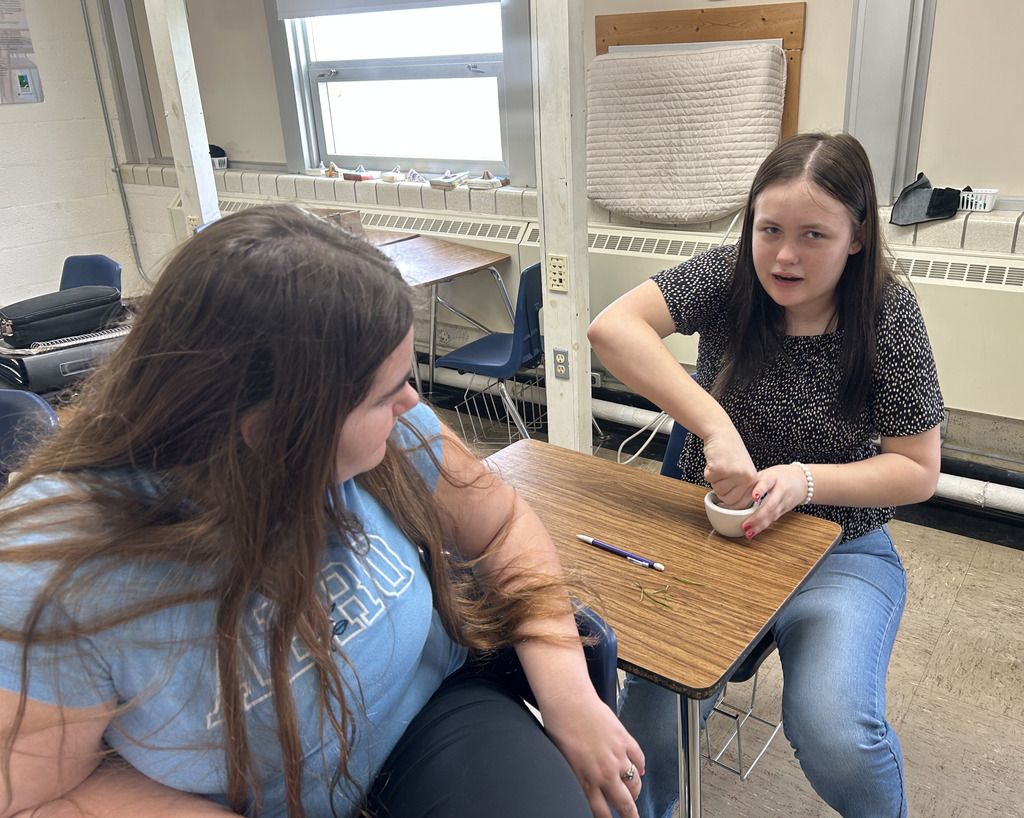 Two students are grinding green grass.