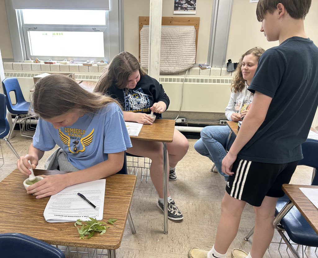 Four students are grinding green grass.