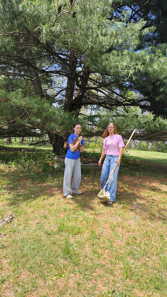 Two students are using a net to look for organisms. 