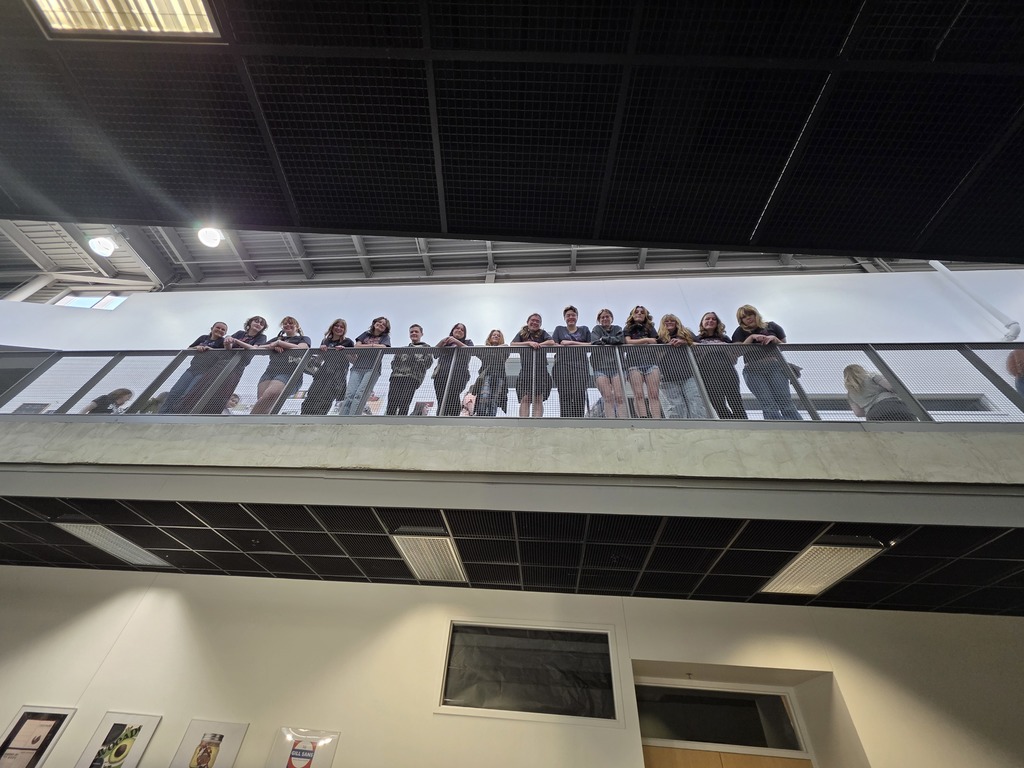 The group of 15 students are looking down from a balcony in the art museum. 