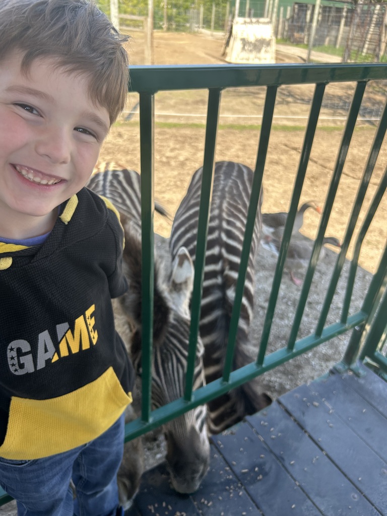 One student is standing in front of a gate with two zebras in the background. 