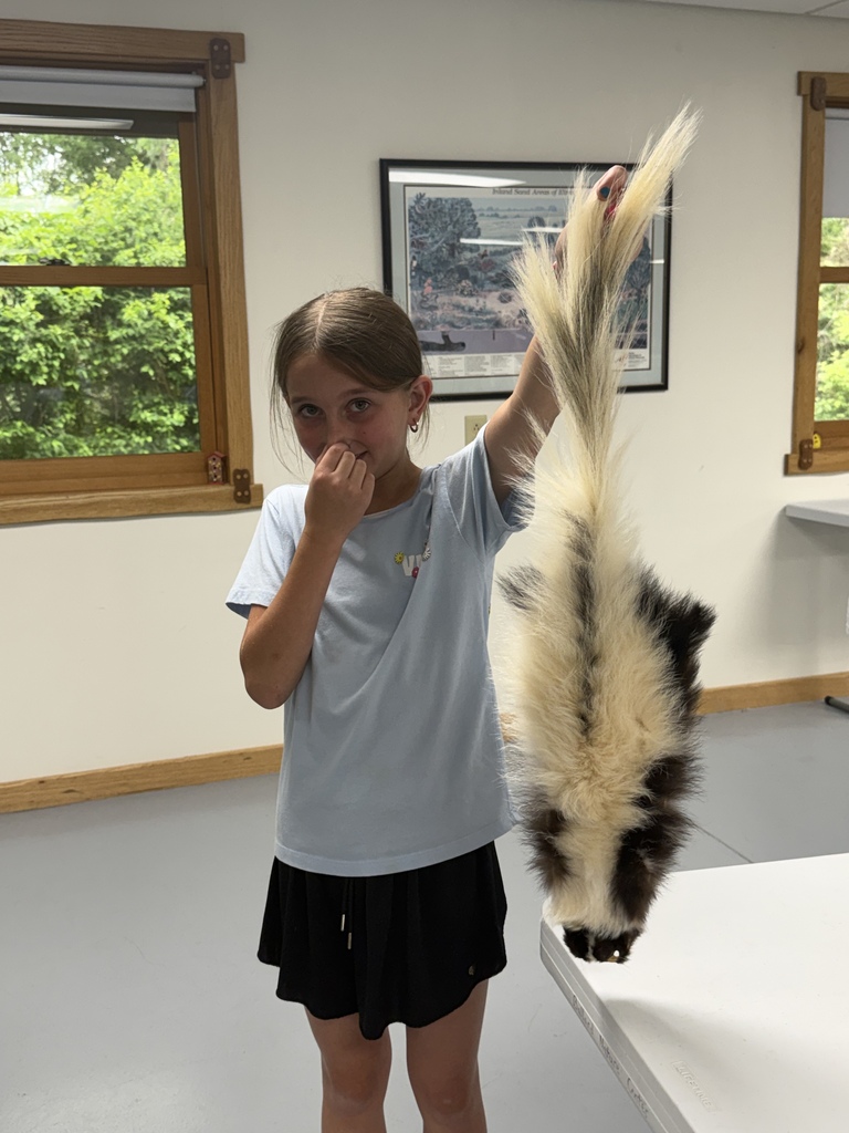 A student is holding their nose while holding a skunk pelt. 