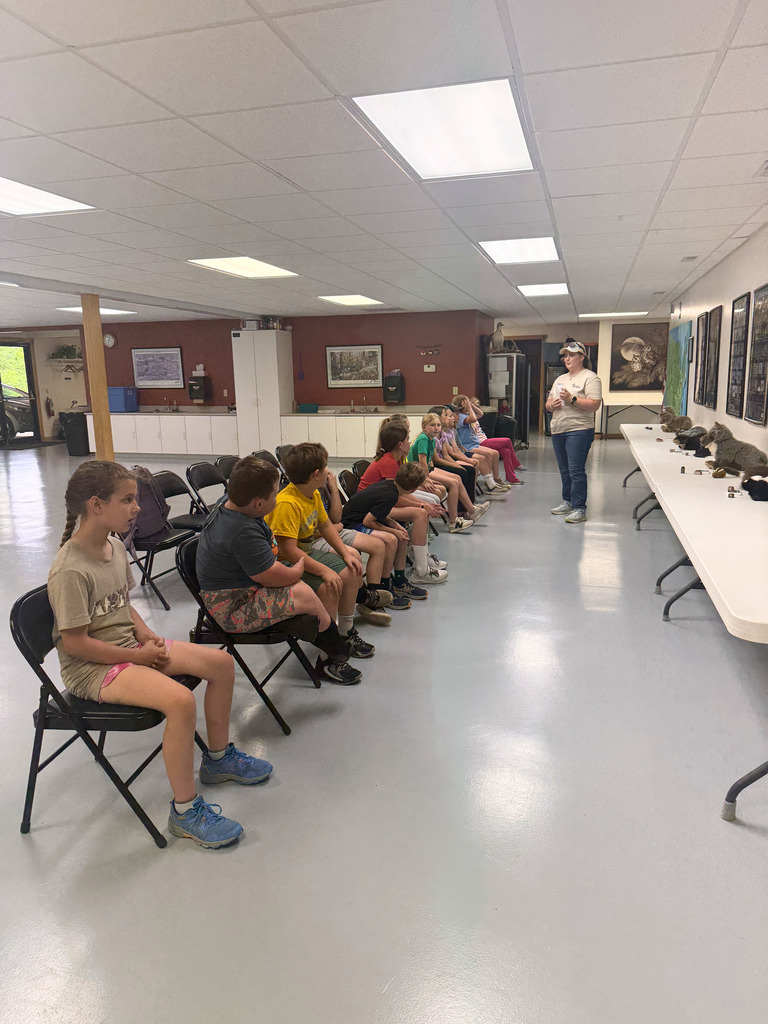 A group of students are sitting on chairs listening to a speaker talk about the items on the table.