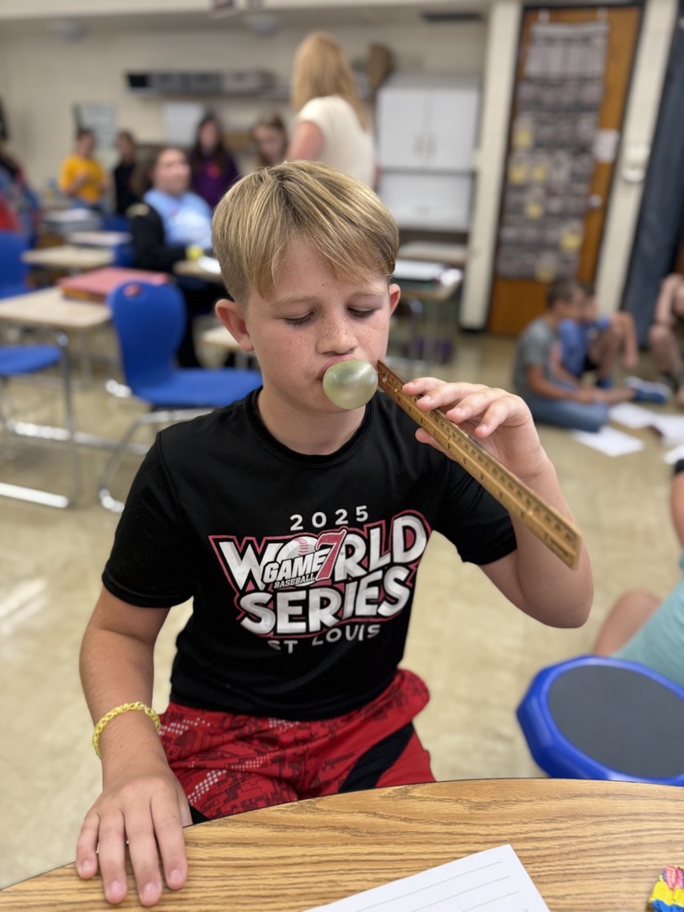 A student is blowing a bubble with gum. The student has a ruler next to their face to measure the bubble. 