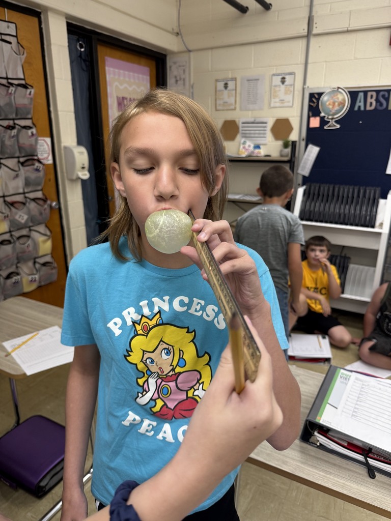A student is blowing a bubble with gum. The student has a ruler next to their face to measure the bubble. 