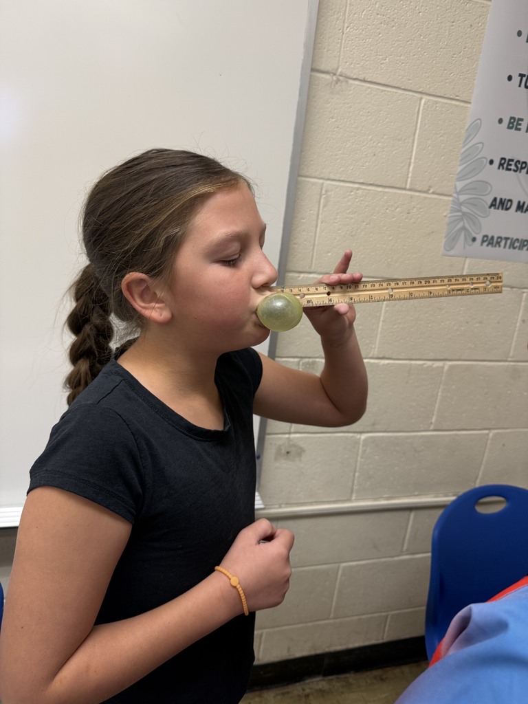 A student is blowing a bubble with gum. The student has a ruler next to their face to measure the bubble. 