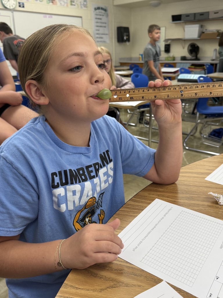 A student is blowing a bubble with gum. The student has a ruler next to their face to measure the bubble. 