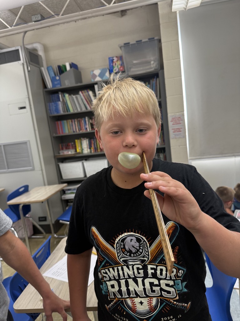 A student is blowing a bubble with gum. The student has a ruler next to their face to measure the bubble. 