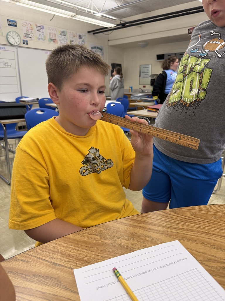 A student is blowing a bubble with gum. The student has a ruler next to their face to measure the bubble. 