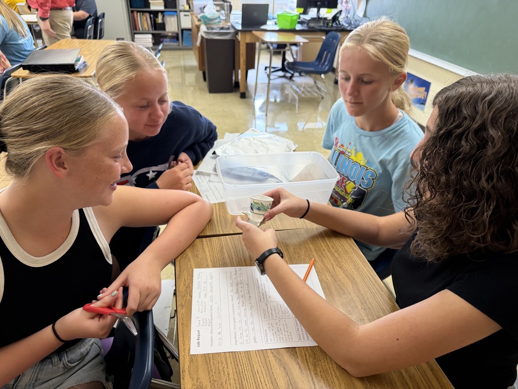 One student is wrapping a cup with aluminum foil. Three students are watching.