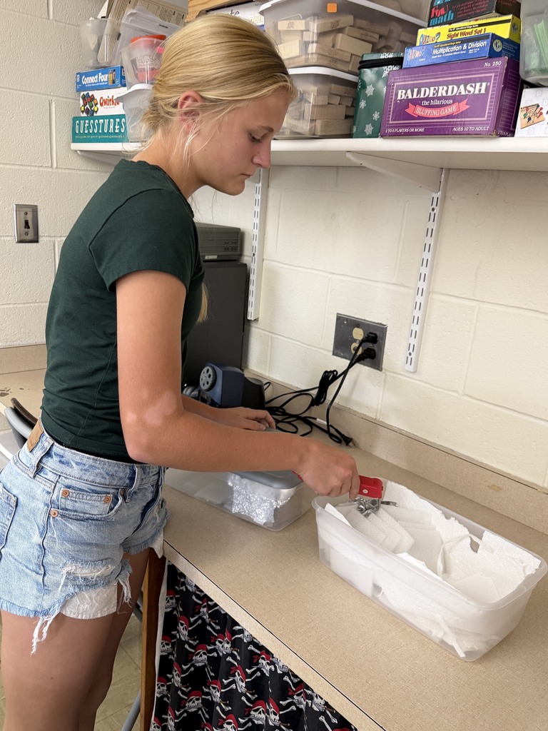 A student is measuring the temperature of the water. 