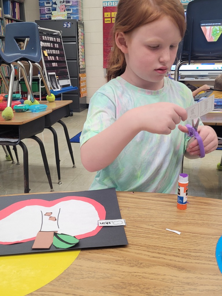 A student is cutting labels to put on the apple. 