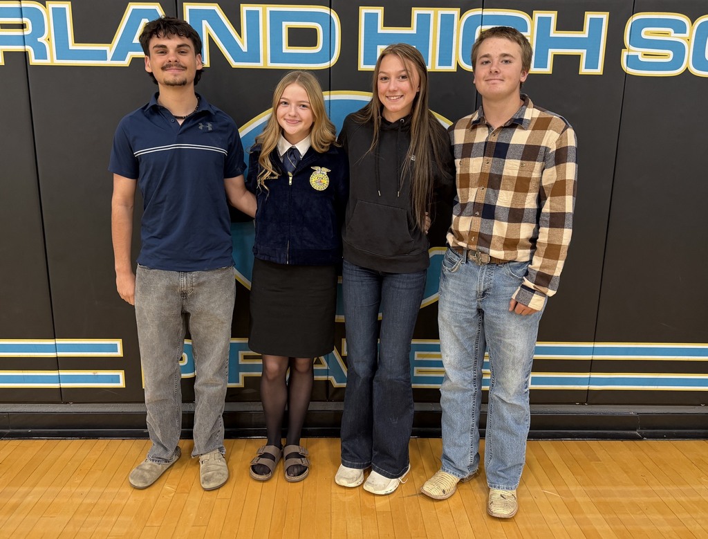 Pictured are the four sophomores in the homecoming court.