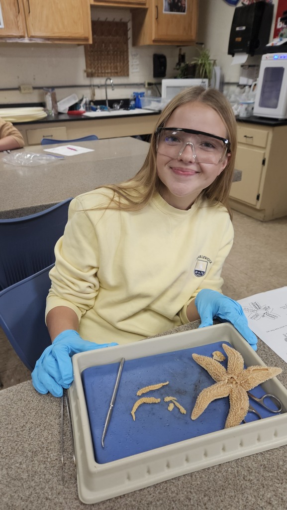 A student is wearing goggles and gloves and is sitting in front of a discecting tray with a starfish.