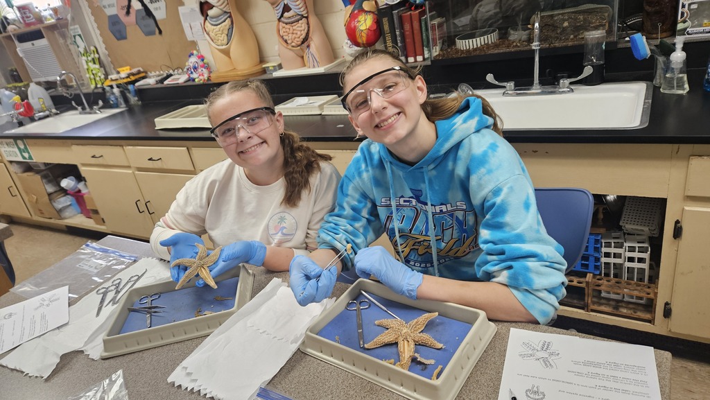 Two students are wearing goggles and gloves and are sitting in front of a discecting tray with starfish.