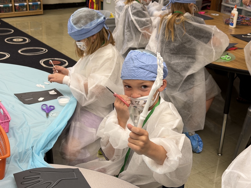 A student is showing an arm from a skeleton.