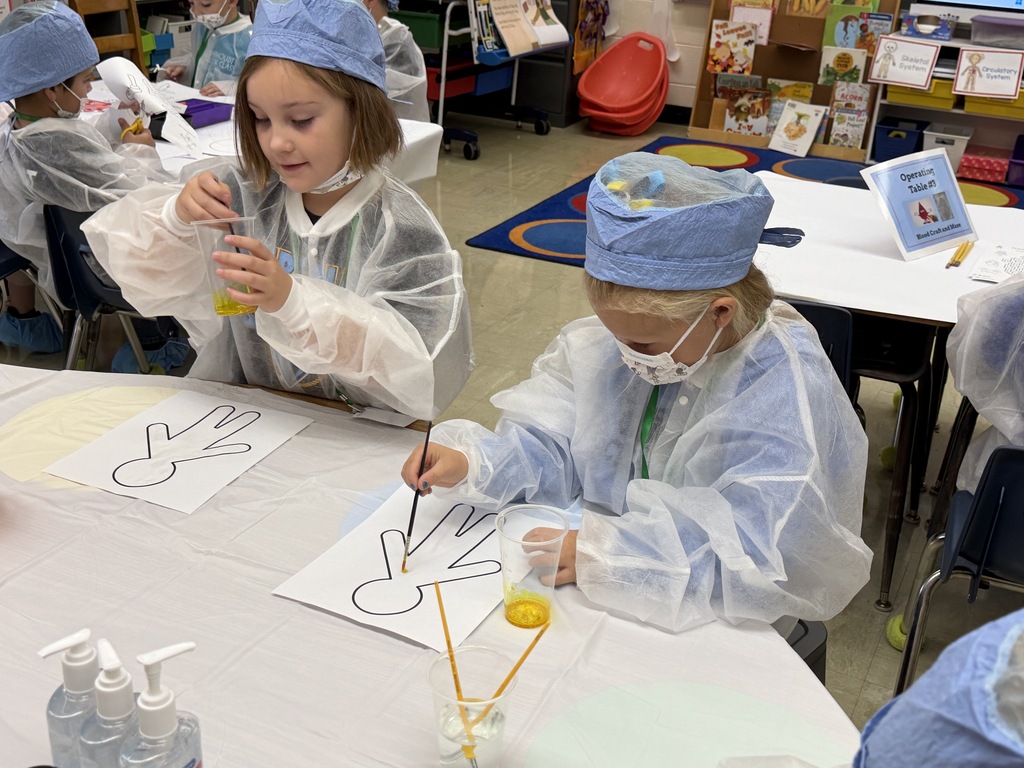 Two students are painting the circulatory system on a paper. 