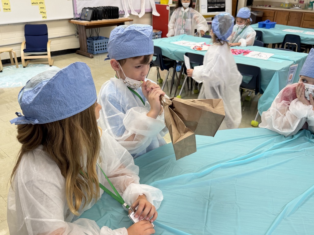 A student is using two bags and a straw to simulate lungs.