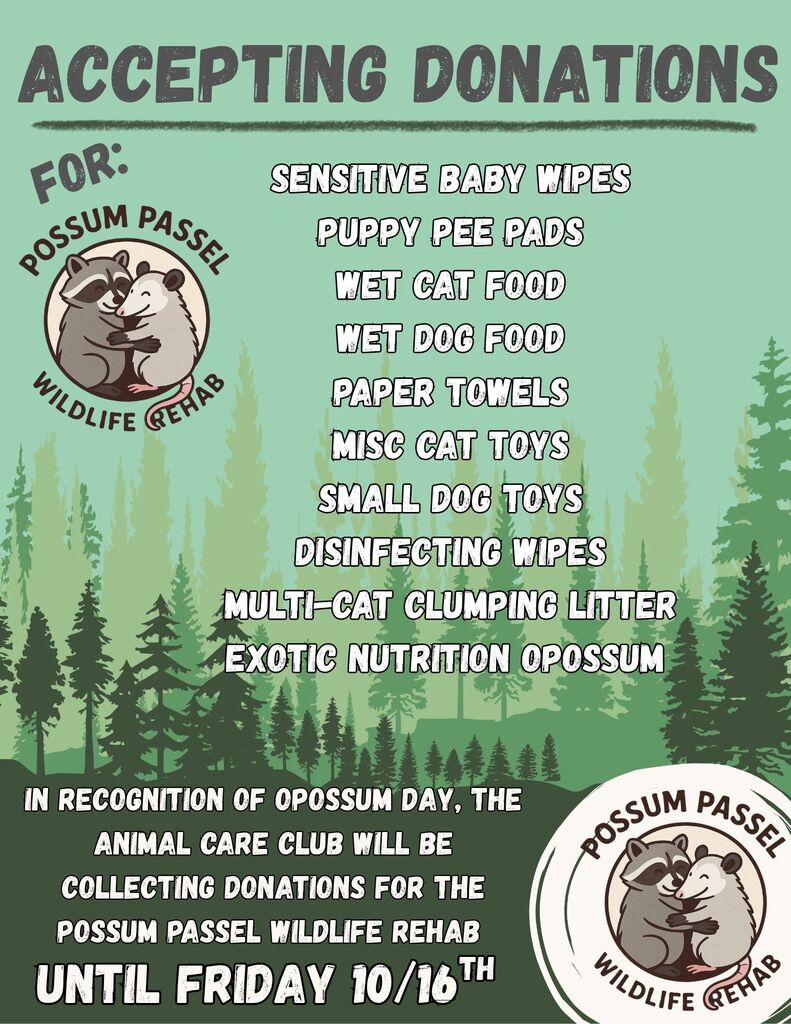 A light green flyer set against a background silhouette of pine trees, titled "ACCEPTING DONATIONS FOR: POSSUM PASSEL WILDLIFE REHAB." The logo features an illustrated raccoon hugging an opossum inside a circular emblem reading "Possum Passel Wildlife Rehab." List of requested donation items: Sensitive baby wipes Puppy pee pads Wet cat food Wet dog food Paper towels Misc cat toys Small dog toys Disinfecting wipes Multi-cat clumping litter Exotic Nutrition Opossum Bottom Text: "In recognition of Opossum Day, the Animal Care Club will be collecting donations for the Possum Passel Wildlife Rehab until Friday 10/16th."