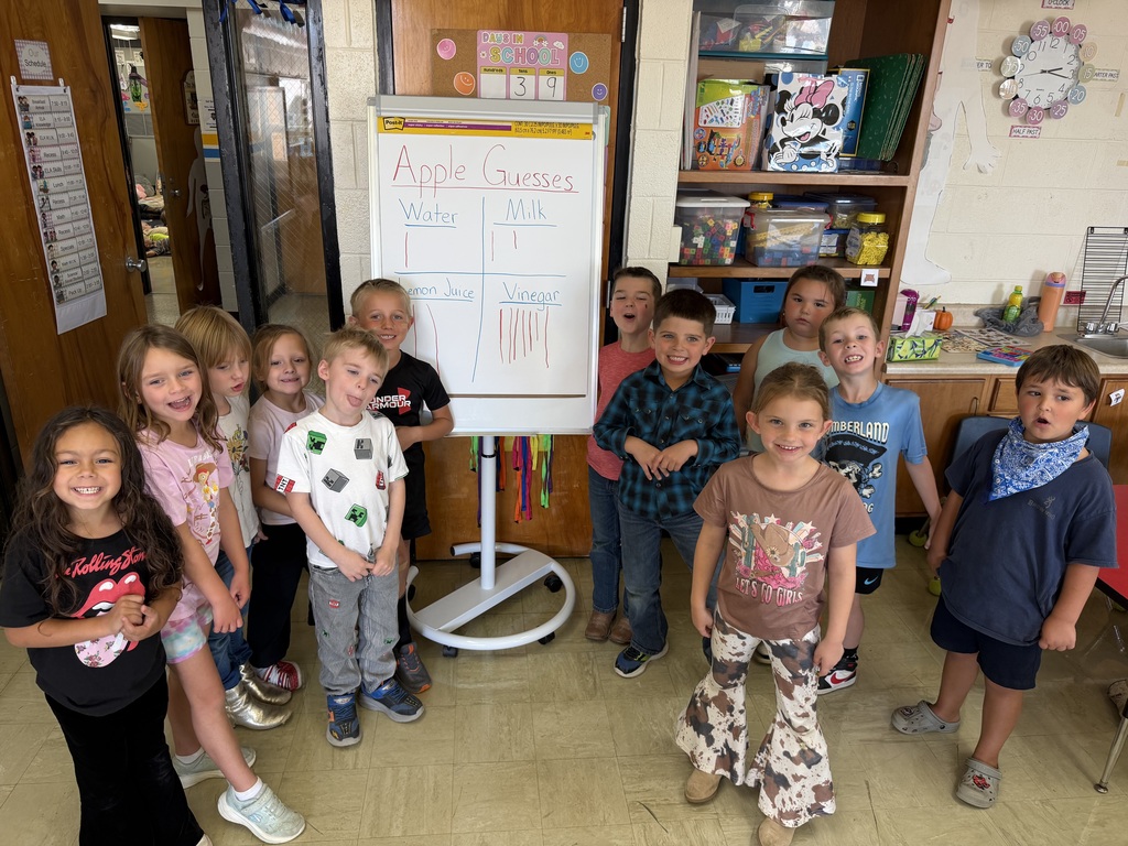 Students are showing their votes.