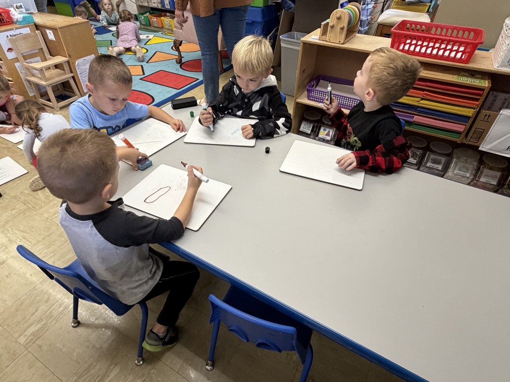 Four students are drawing a tree on a white board. 