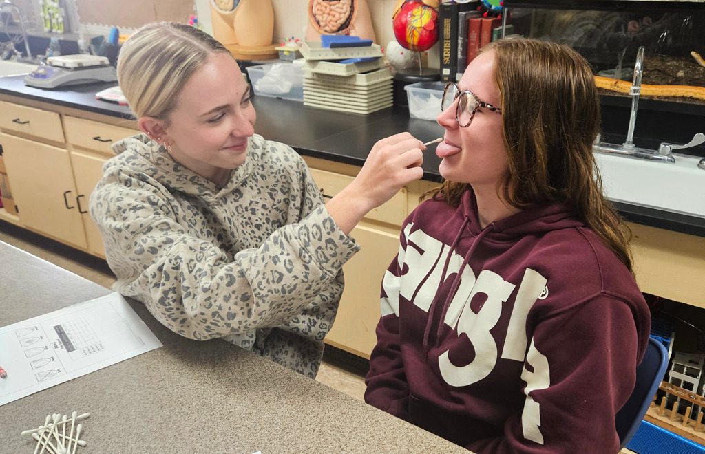 One studetn is using a Qtip to swab the tounge of another student. 