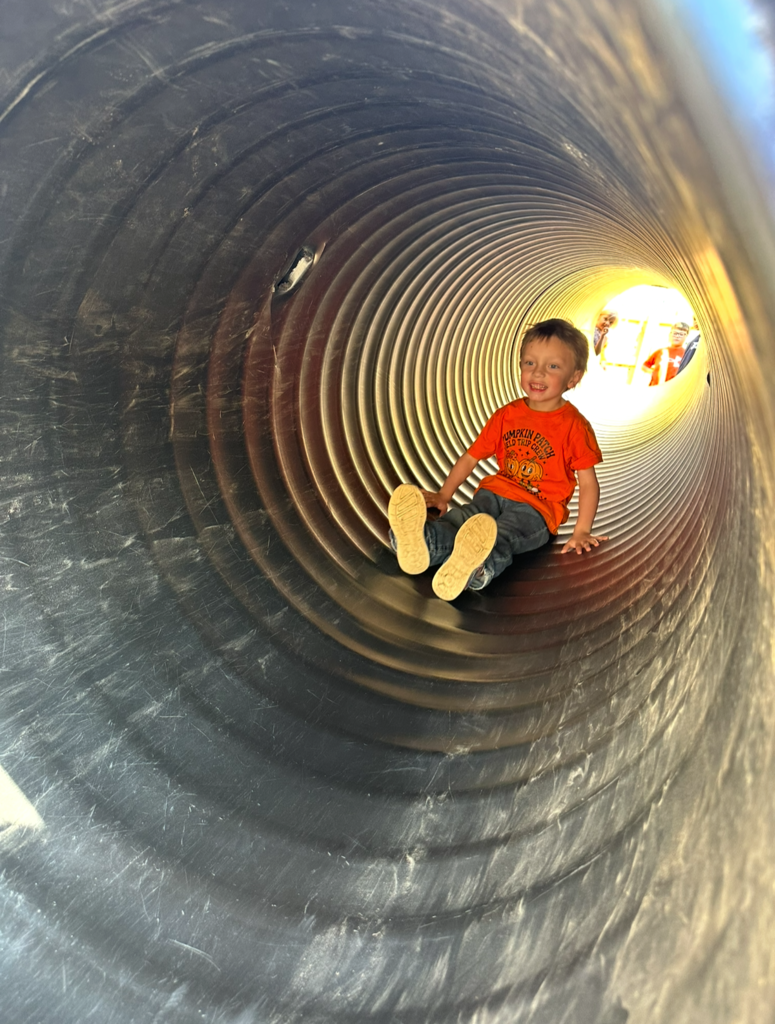 A student is sliding down a tube slide. 