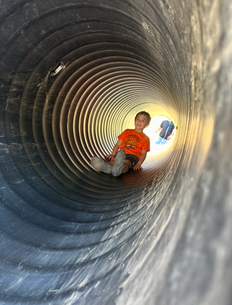 A student is sliding down a tube slide. 