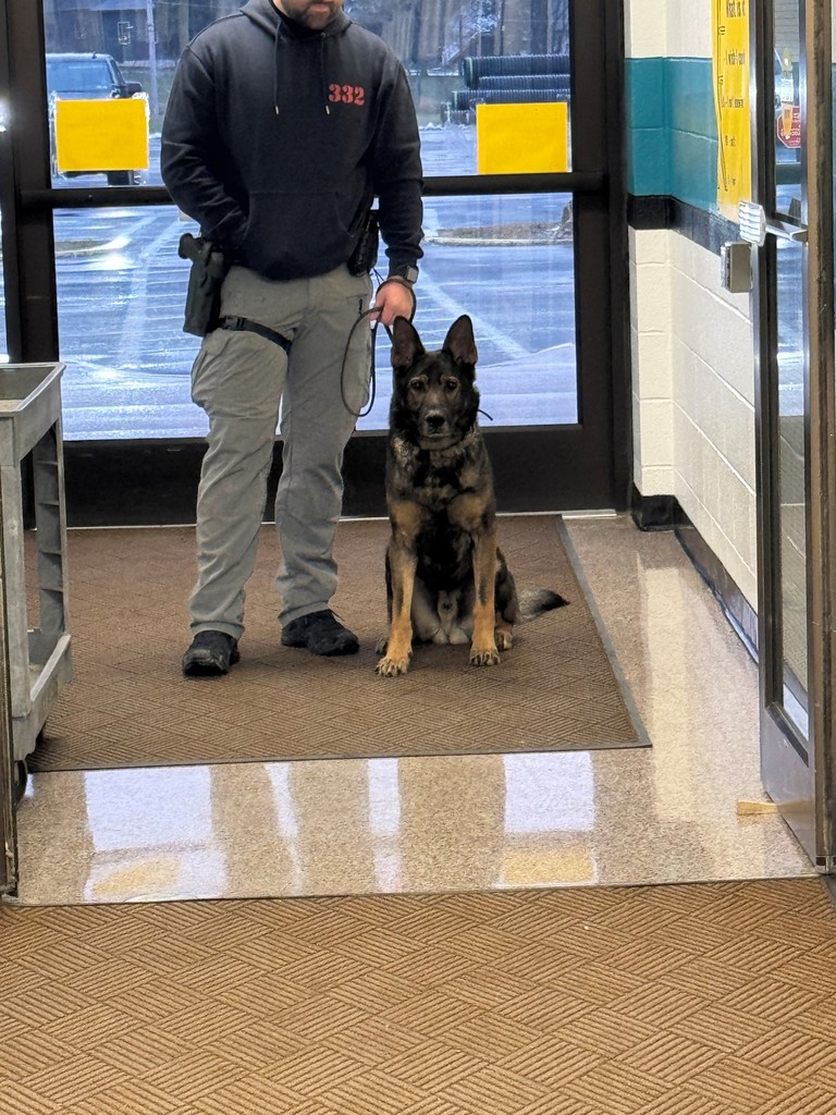 k9 cezar